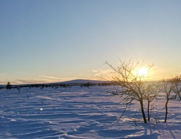 10 kelkkasafari auringonlasku toinen