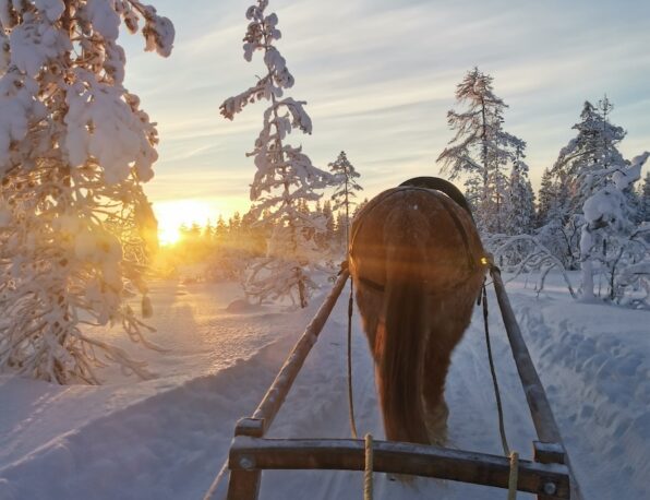 15 revontulirekiajelu hevosella