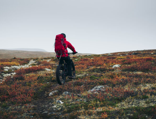 Lapland Safaris fatbike