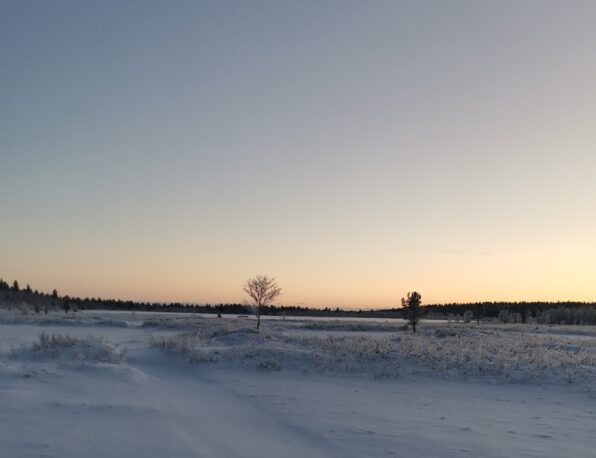 kokopäivä kelkka